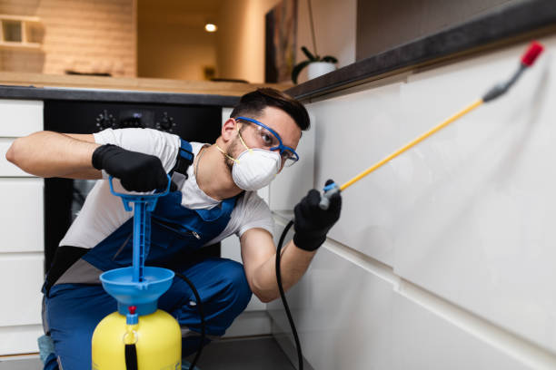 Best Mosquito Control Services  in Vernon Center, NJ