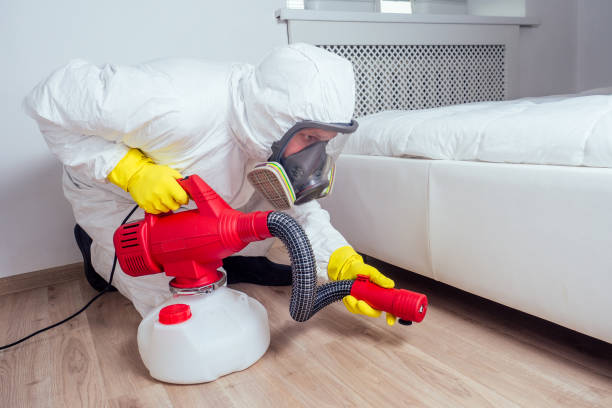 Best Termite Control Services  in Vernon Center, NJ