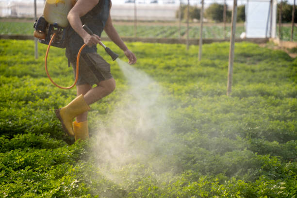 Best Pest Prevention Services  in Vernon Center, NJ