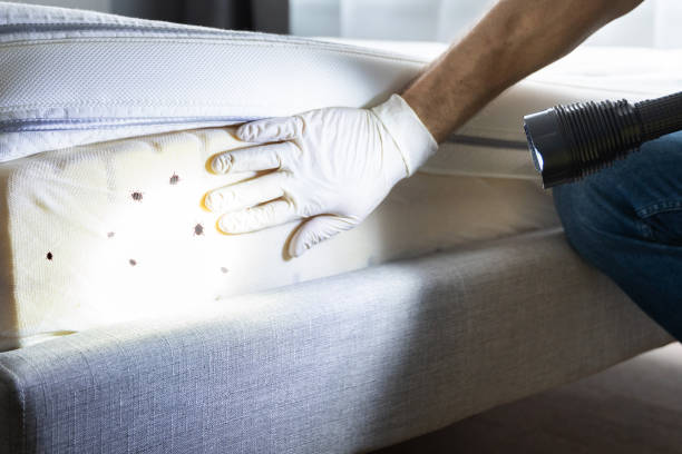 Best Exterminator Services  in Vernon Center, NJ